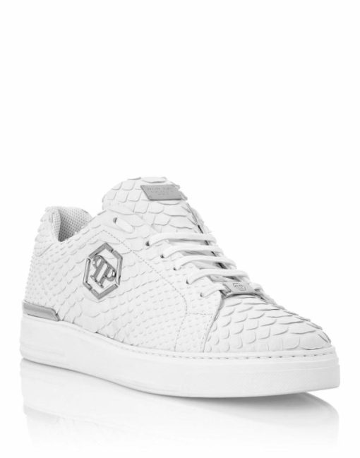 Bazaarquest.shop3fd04b5606 1